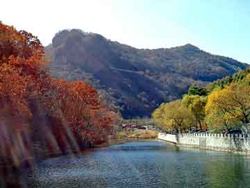 新澳天天开奖资料大全旅游团，都市完结小说